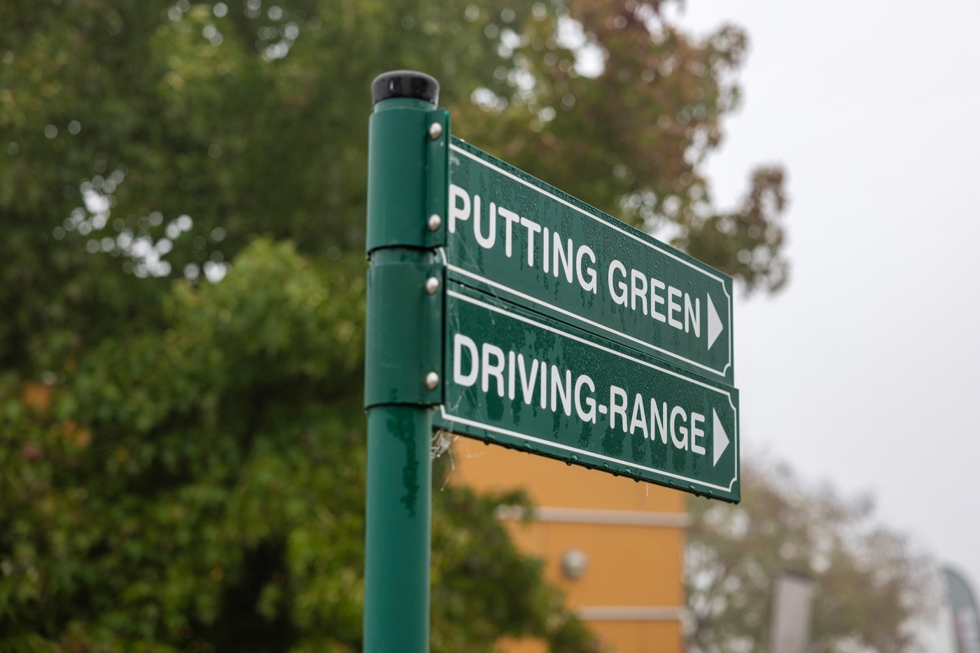 Groene richtingaanwijzerop het terrein van Golfclub Zwolle met daarop twee borden die met witte letters de richting aangeven naar de Putting Green en naar de Driving-Range. Op de achtergrond onscherp een deel van een groene boom met veel bladeren.